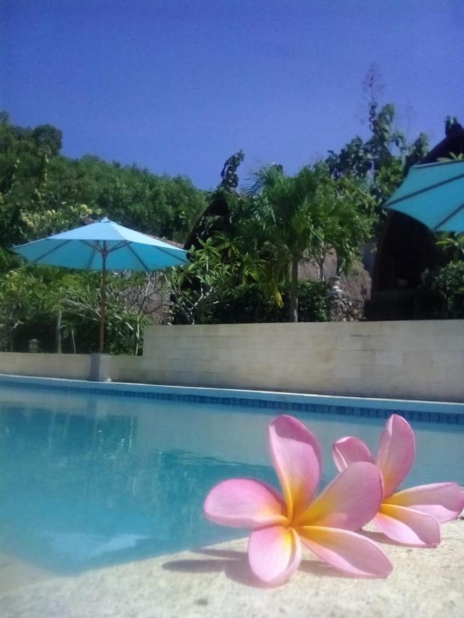 Light Blue Villa Tepus 外观 照片