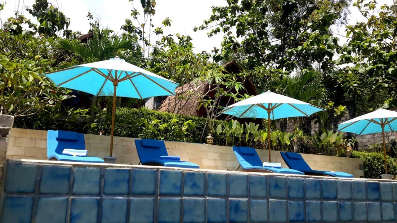 Light Blue Villa Tepus 外观 照片